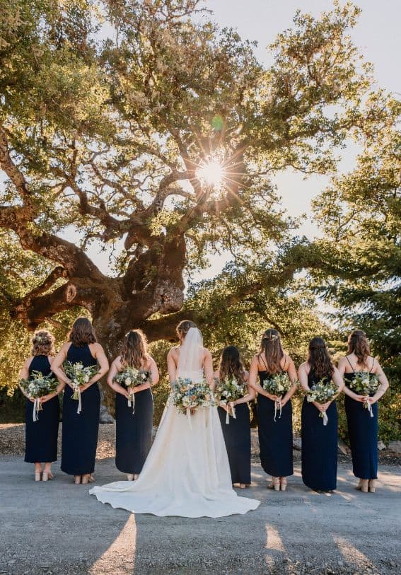 napa valley elopement