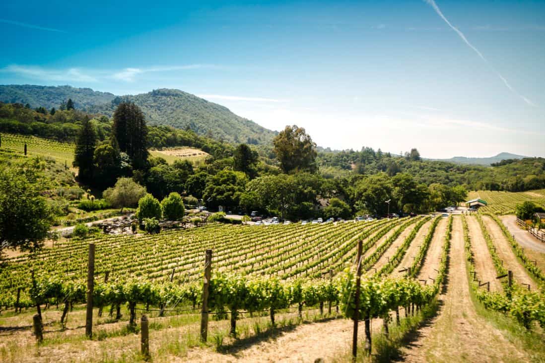 vineyard tours vendee