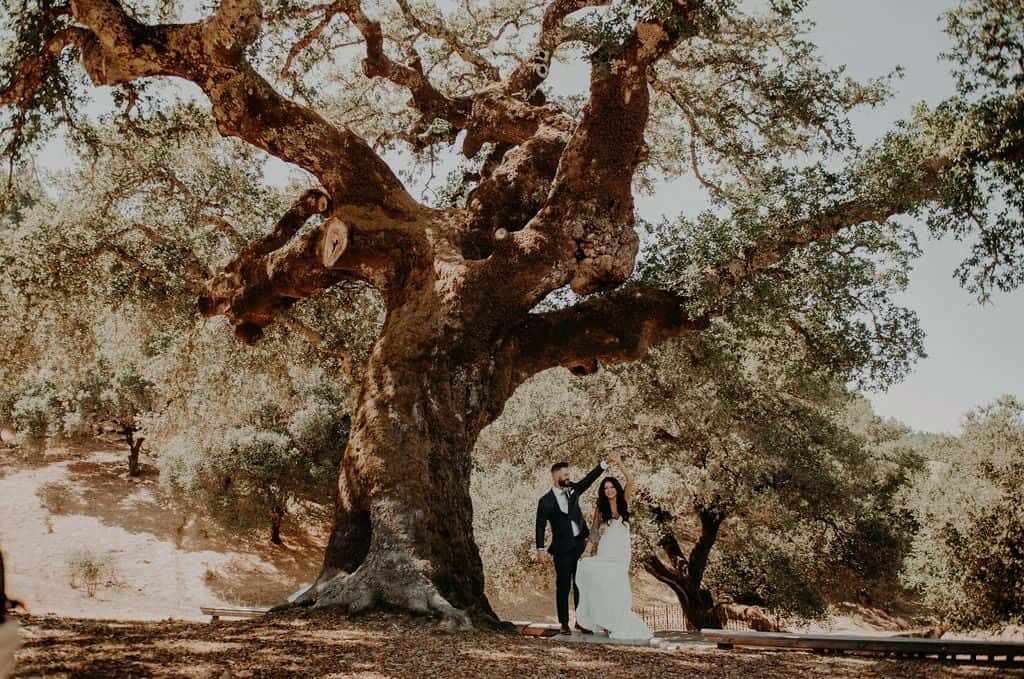 11 oak tree terrace rustic mountain house estate weddingi venues northern california