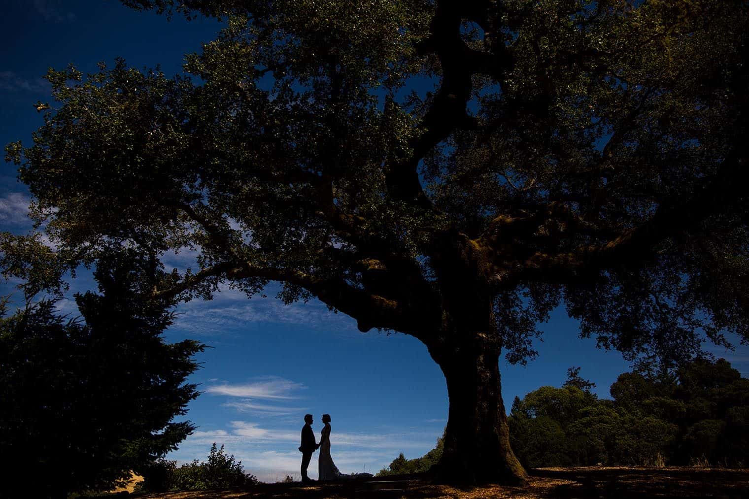 22 photo opportunities rustic mountain house estate weddingi venues northern california