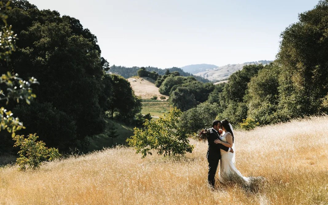 9 mountain house estate recent weddings napa valley