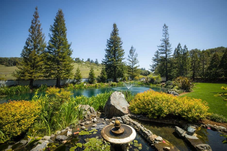 woodsy wedding venues redwoods northern california