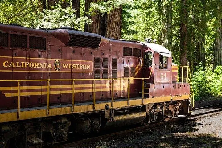 skunk train