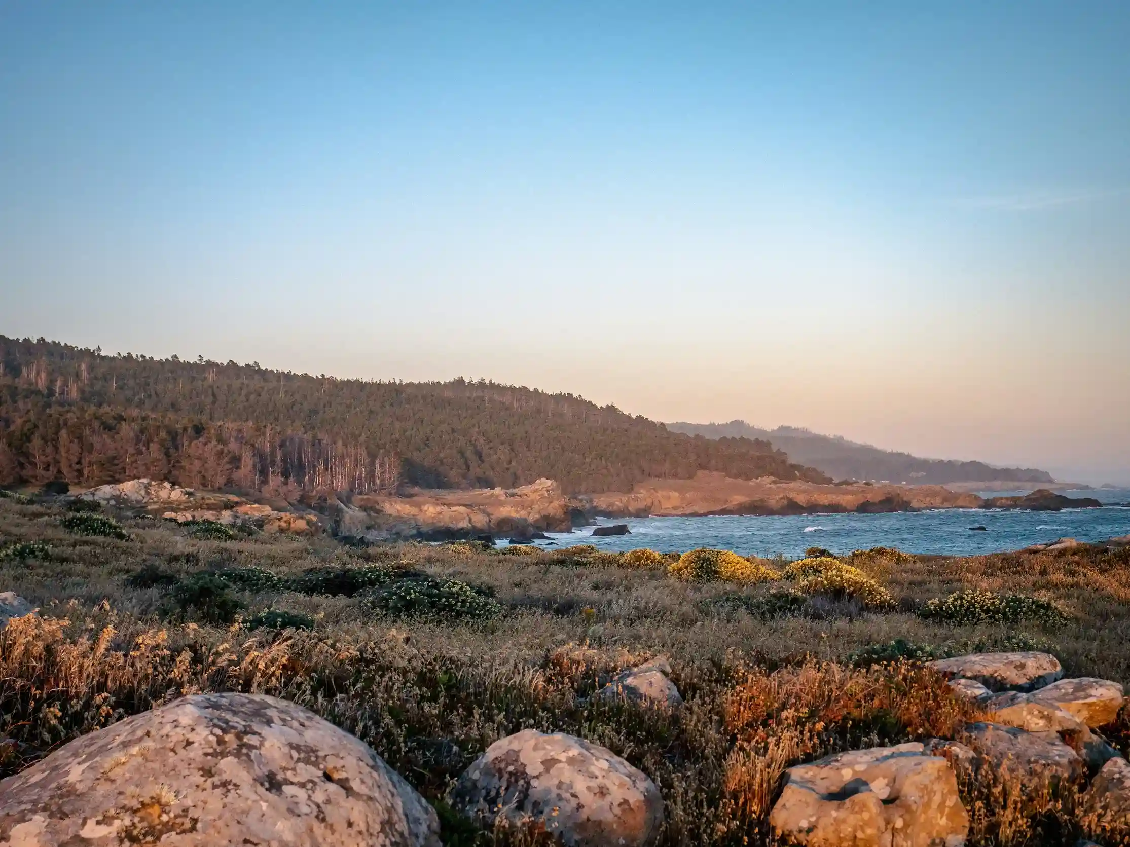 salt point state park