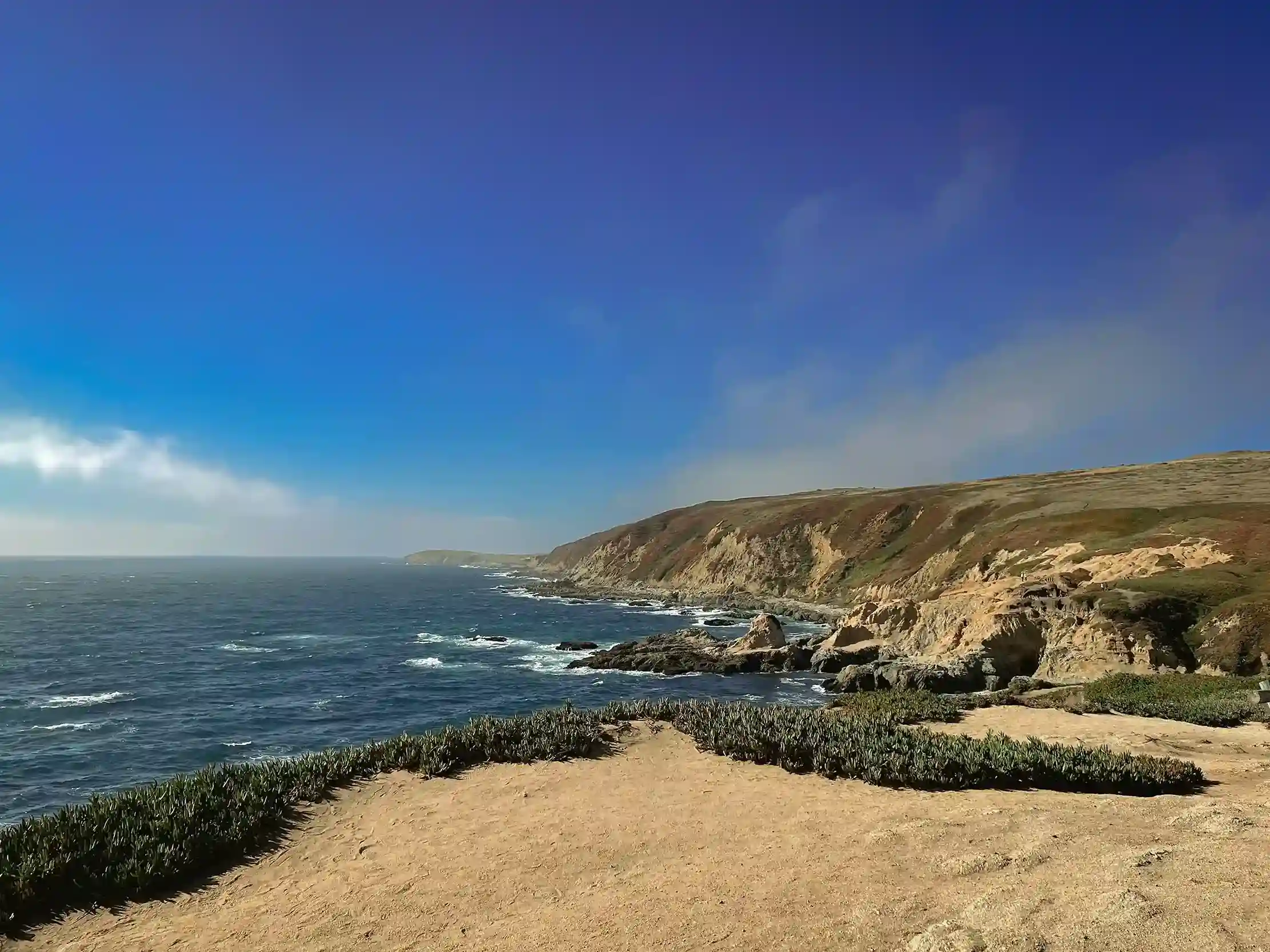 sonoma coast
