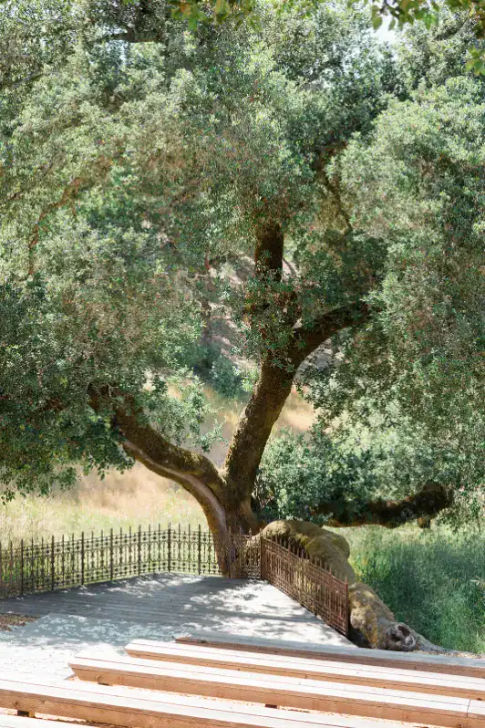 Kindra and Wyatt Alyssa Gayle Photography